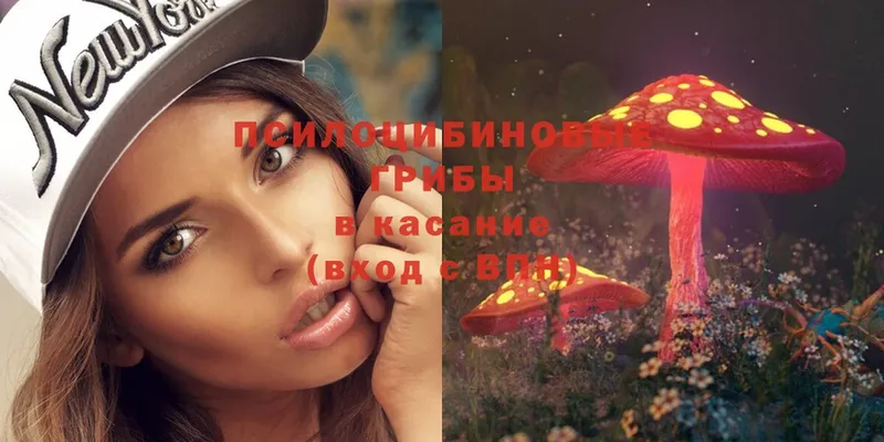 Галлюциногенные грибы Psilocybe  Верея 